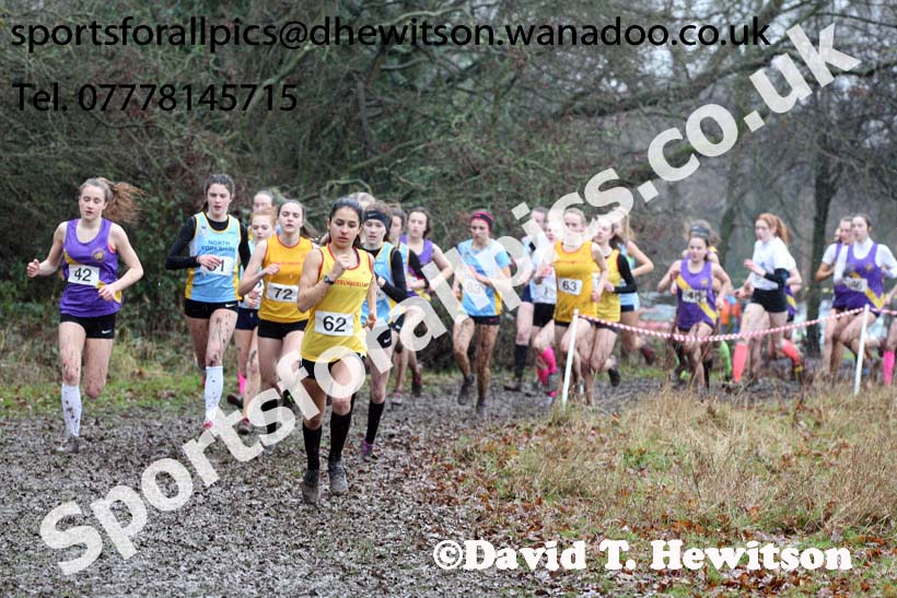 Intermediate girls Northern Inter Counties Schools Cross Country, Stockton. Photo: David T. Hewitson/Sports for All Pics